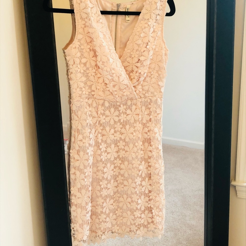 Floral Lace Blush Dress